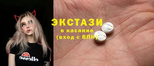 индика Гусь-Хрустальный