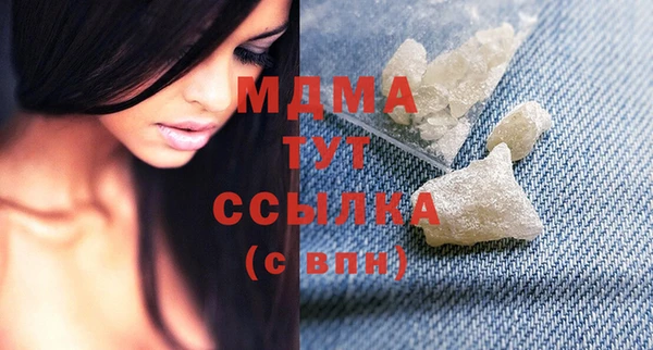 индика Гусь-Хрустальный