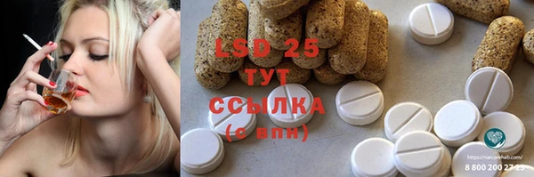 индика Гусь-Хрустальный