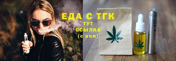 индика Гусь-Хрустальный