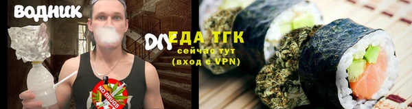 индика Гусь-Хрустальный