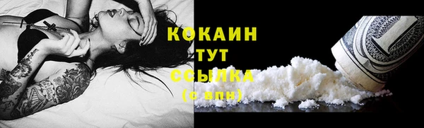 индика Гусь-Хрустальный