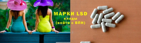 индика Гусь-Хрустальный