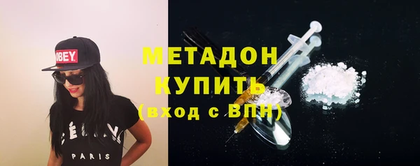 индика Гусь-Хрустальный