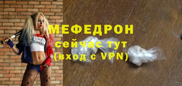индика Гусь-Хрустальный