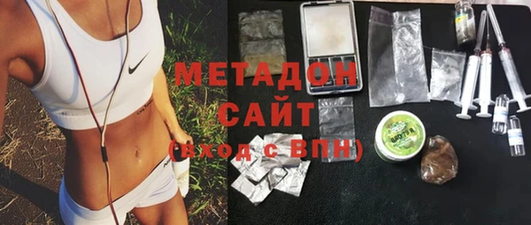 индика Гусь-Хрустальный