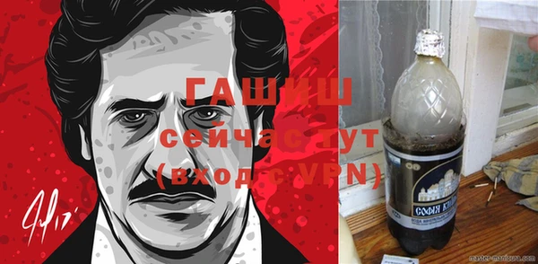 индика Гусь-Хрустальный