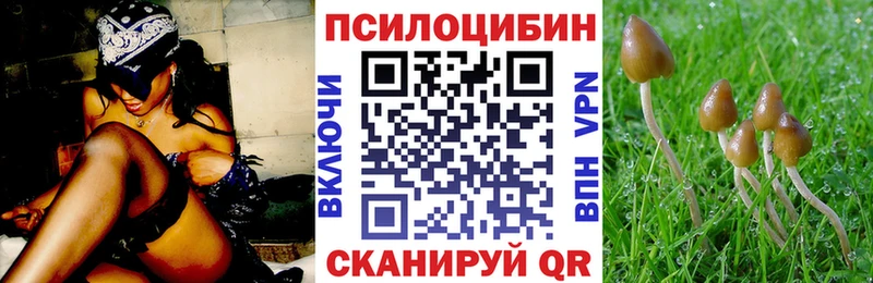 купить   Духовщина  Галлюциногенные грибы прущие грибы 